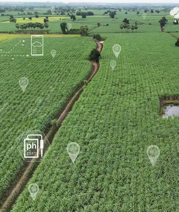 Sense It uses LoRaWAN and Bluetooth sensors